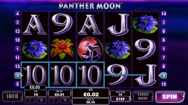 Panther Moon