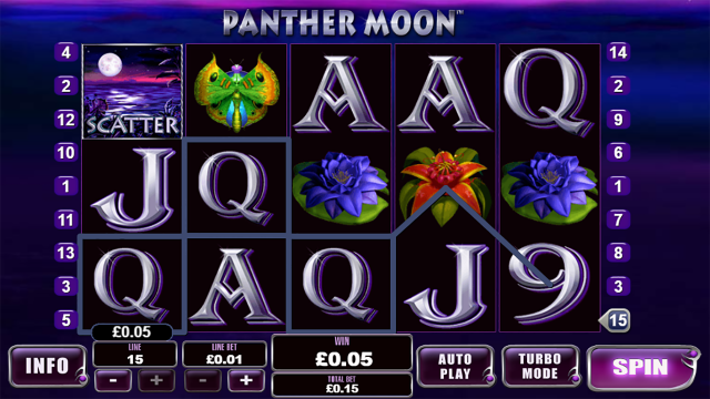 Panther Moon