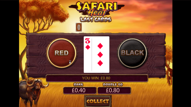 Safari Heat